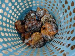 -小海豚•老字号海鲜餐厅(天涯店)