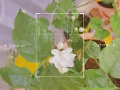-徽镇小厨·经典徽菜(马连道店)