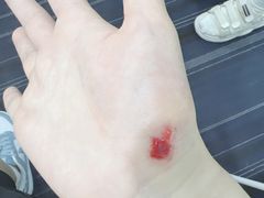 -上海中医药大学附属曙光医院(东部)