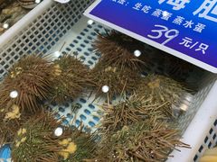 -双井轩(双井店)