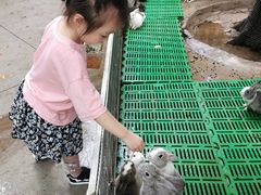 -史努比缤纷世界