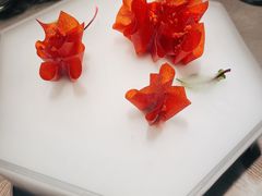 -拾久(朝阳公园店)