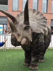 -恐龙探索乐园(磁器口店)