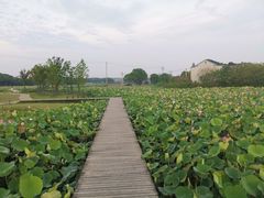 -梁鸿国家湿地公园