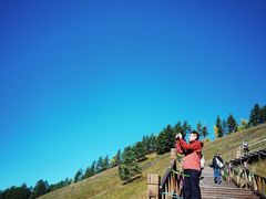 -莫尔道嘎国家森林公园