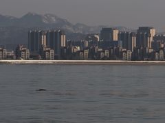 -小石岛景区