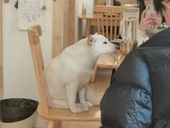 -柴の食堂·日式家庭料理·熊之肆(大学路店)
