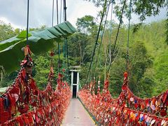 -西双版纳原始森林公园