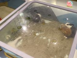 -meland亲子乐园•派对•研学(苏州悠方购物中心店)