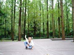 -东平国家森林公园