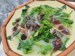 -鸽鸟轩(石岐店)