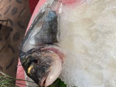 黑鲷鱼海鲜拼盘-行家海鲜火锅酒家(静安寺店)