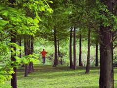 -眉山湿地公园(东坡区)