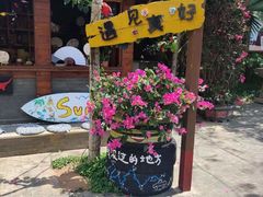 -亚龙湾热带天堂森林公园