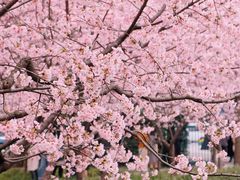 -LONG BAR 廊吧(外滩华尔道夫酒店)