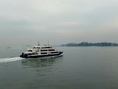 -演武大桥观景平台