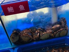 会跳舞的大鲍鱼-小龍鳳·港式海鲜打边炉(沙湖路店)