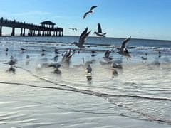 -老虎石海上公园