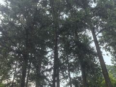 -英西峰林九重天景区