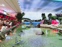 -鸿通城购物中心