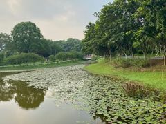 -东莞植物园