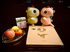 -常州环球恐龙城维景国际大酒店