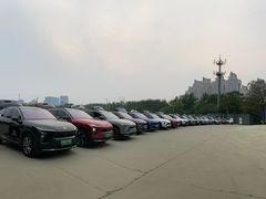 -枫花园汽车电影院(朝阳公园店)