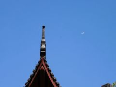 -十八棵（老龙井）御茶园(老龙井店)