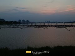 -九龙湖公园
