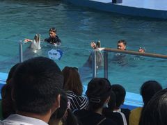 -秦皇岛新澳海底世界