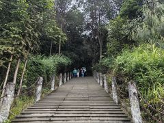 -铁山坪森林公园