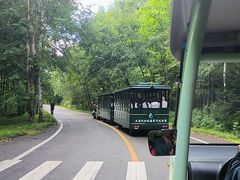 -五营红松林海景区