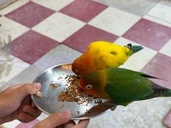 -上海大自然野生昆虫馆(东方明珠·爬宠昆虫探索中心)