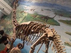 -自贡恐龙博物馆