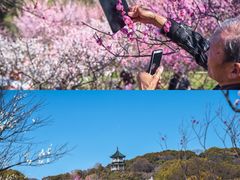 -无锡梅园公园