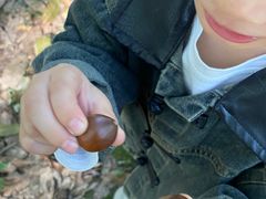 -蜀冈西峰生态公园