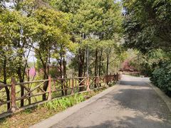 -贵阳市花溪国家城市湿地公园