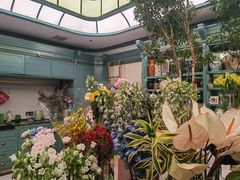 -紫荆广场·花漫里