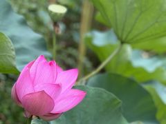 -苏州香山国际大酒店