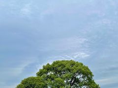 -良渚古城遗址公园