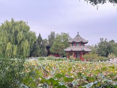-莲池书院博物馆