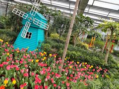 -南宫五洲植物乐园