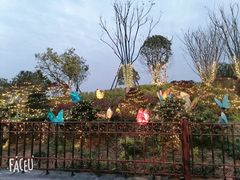 -华谊兄弟（长沙）电影小镇