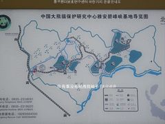 -中国大熊猫保护研究中心雅安碧峰峡基地