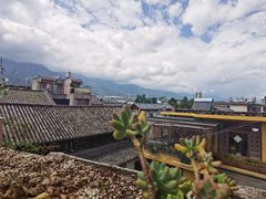 景观位-喵屿·大理花园猫咖