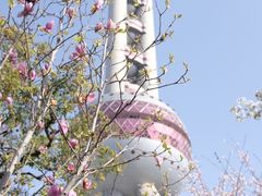 -东方明珠广播电视塔