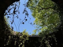 -上海鲜花港