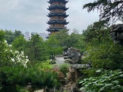 -红梅公园