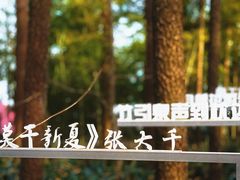 -莫干山风景区
