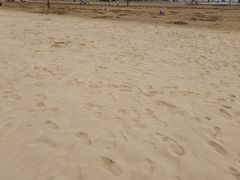 -日照海滨国家森林公园